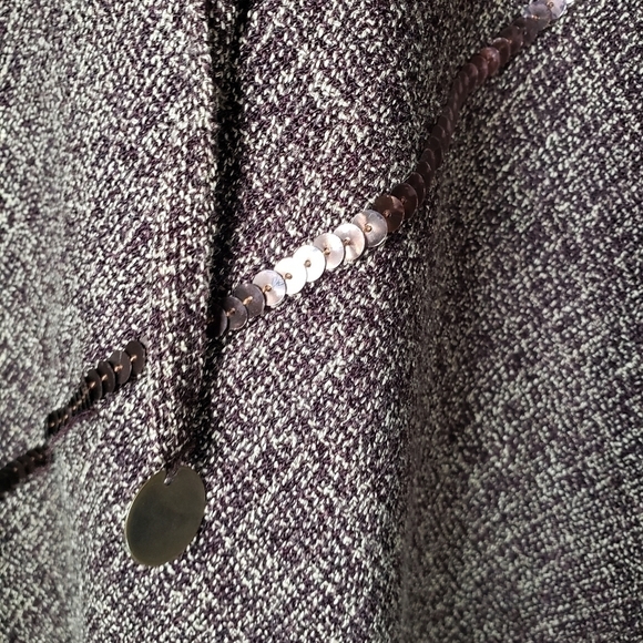 e-col-o-gie Brown Tweed Flare Skirt with Sequinced Line Sz 10 - Picture 5 of 10